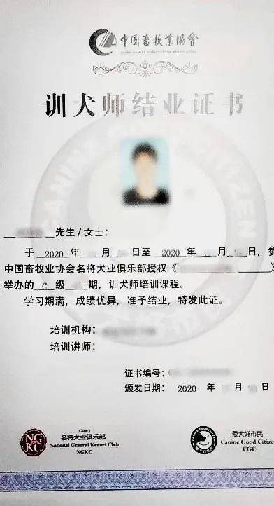 8,c級訓犬師考核的內容講解與實操 頒發的證書 學習考核通過後頒發由