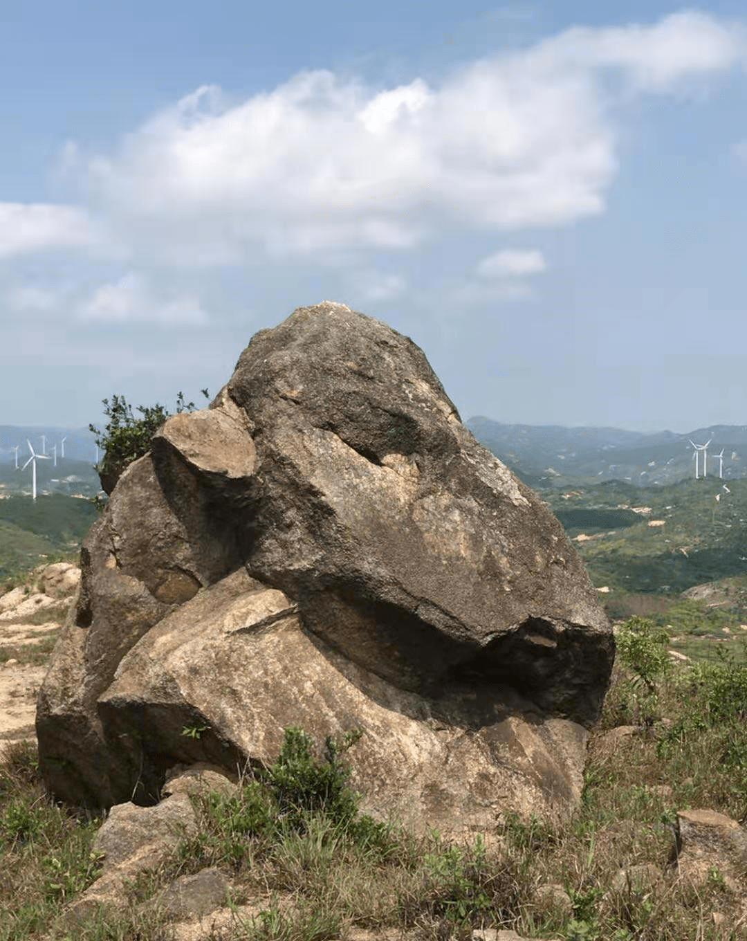 惠来奇石落榜生肖的不了情