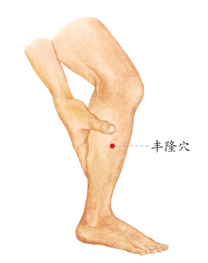 tips:足三里穴:位于小腿前外侧,膝盖骨下方内外侧均有一凹陷,在外侧