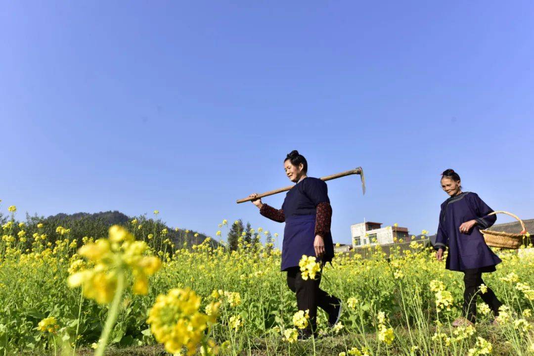 榕江:节日里的劳动者