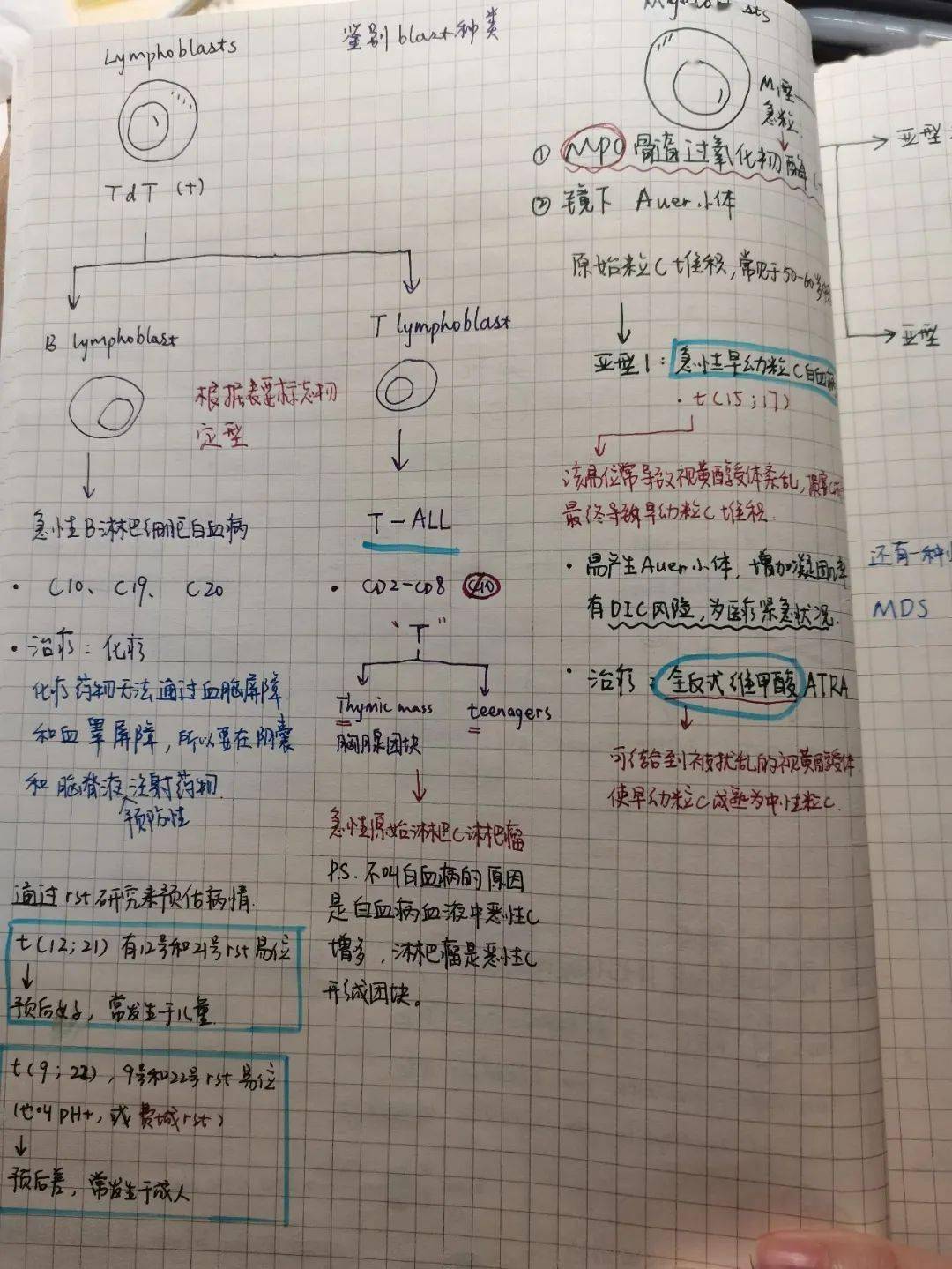 汪夕狄董馨璐12口腔解剖生理學吳偲語13耳鼻咽喉頭頸外科學曹馨月14