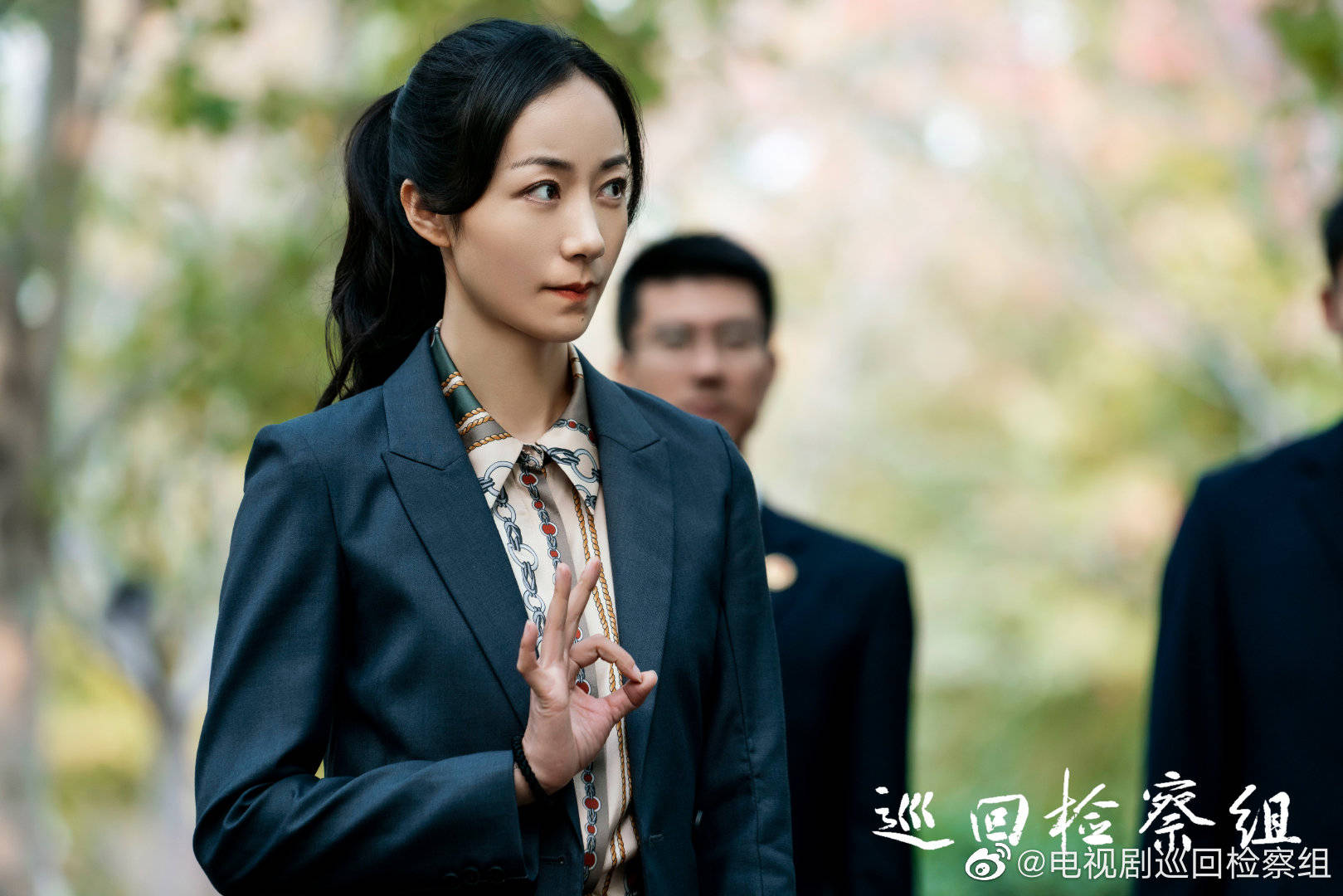 《巡回检察组》的收视率屡创新高,观众追剧,在乎的是哪些"硬菜"