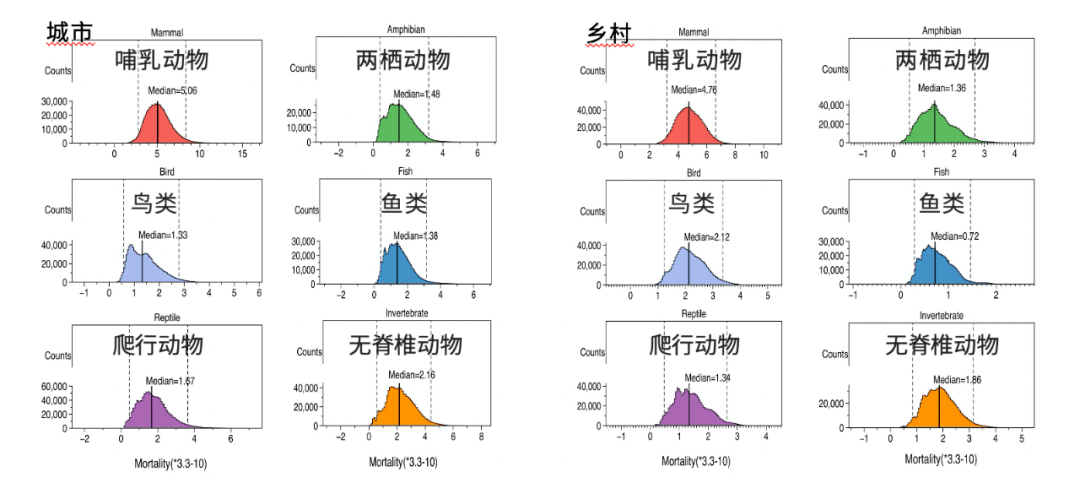 流浪动物数据图图片