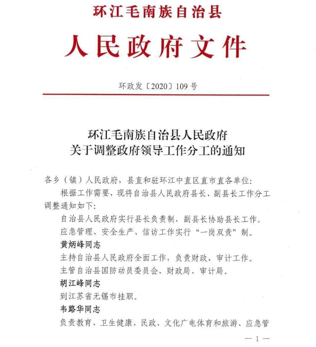 环江毛南族自治县人民政府关于调整政府领导工作分工的通知