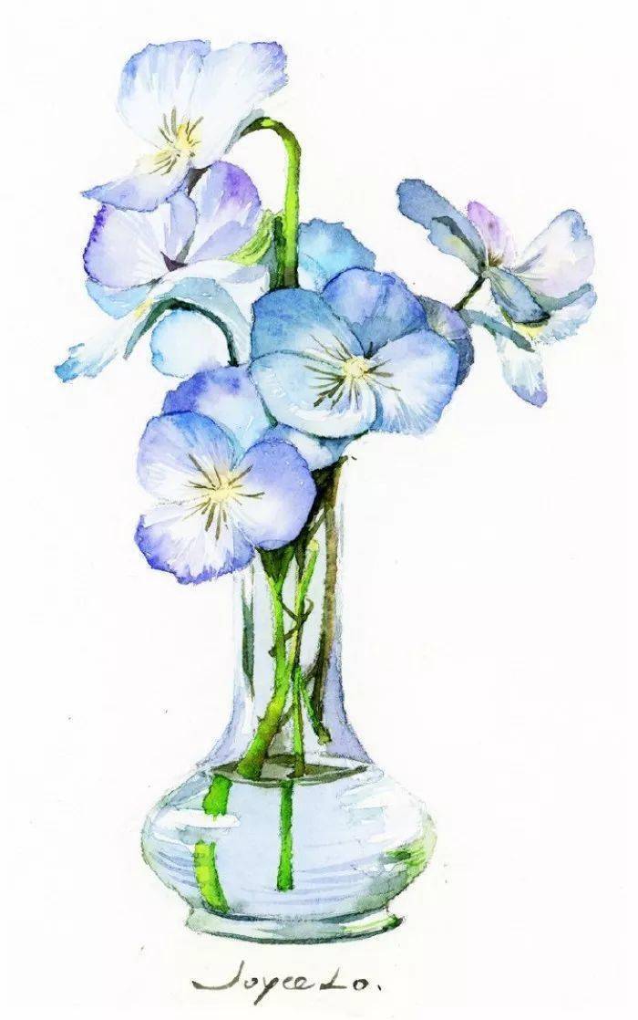 小清新的水彩瓶花系列作品赶紧收藏吧