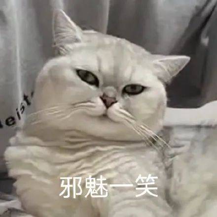 猫:邪魅一笑你自己体会 杀伤力不大,侮辱性极强