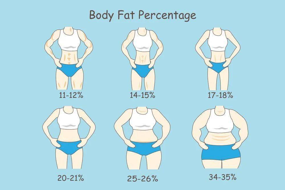 通过图片可以看出,女生体脂率在20%左右,腹肌线条就会清晰可见