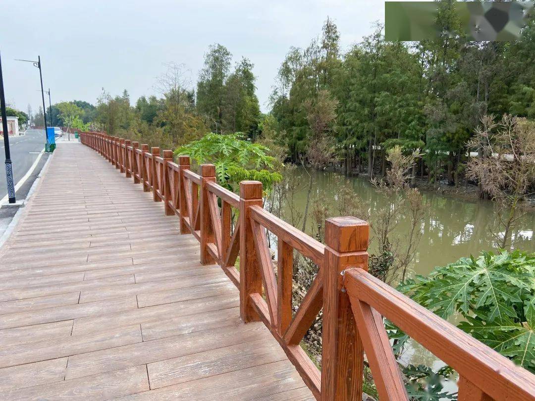 要火近1000米沿河栈道赏田园风光知道斗门这里的人不多