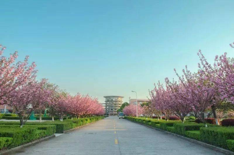 录取分数〡浙江万里学院2020年各类别招生情况