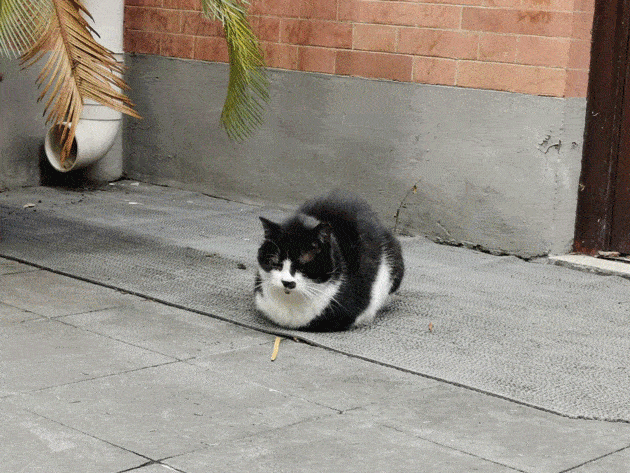 630_473gif 动态图 动图