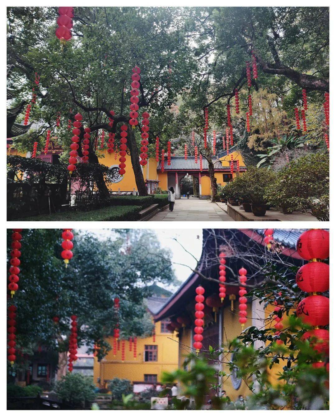 我们起了个大早徒步去了法喜寺求姻缘单身的朋友不要错过据说非常灵
