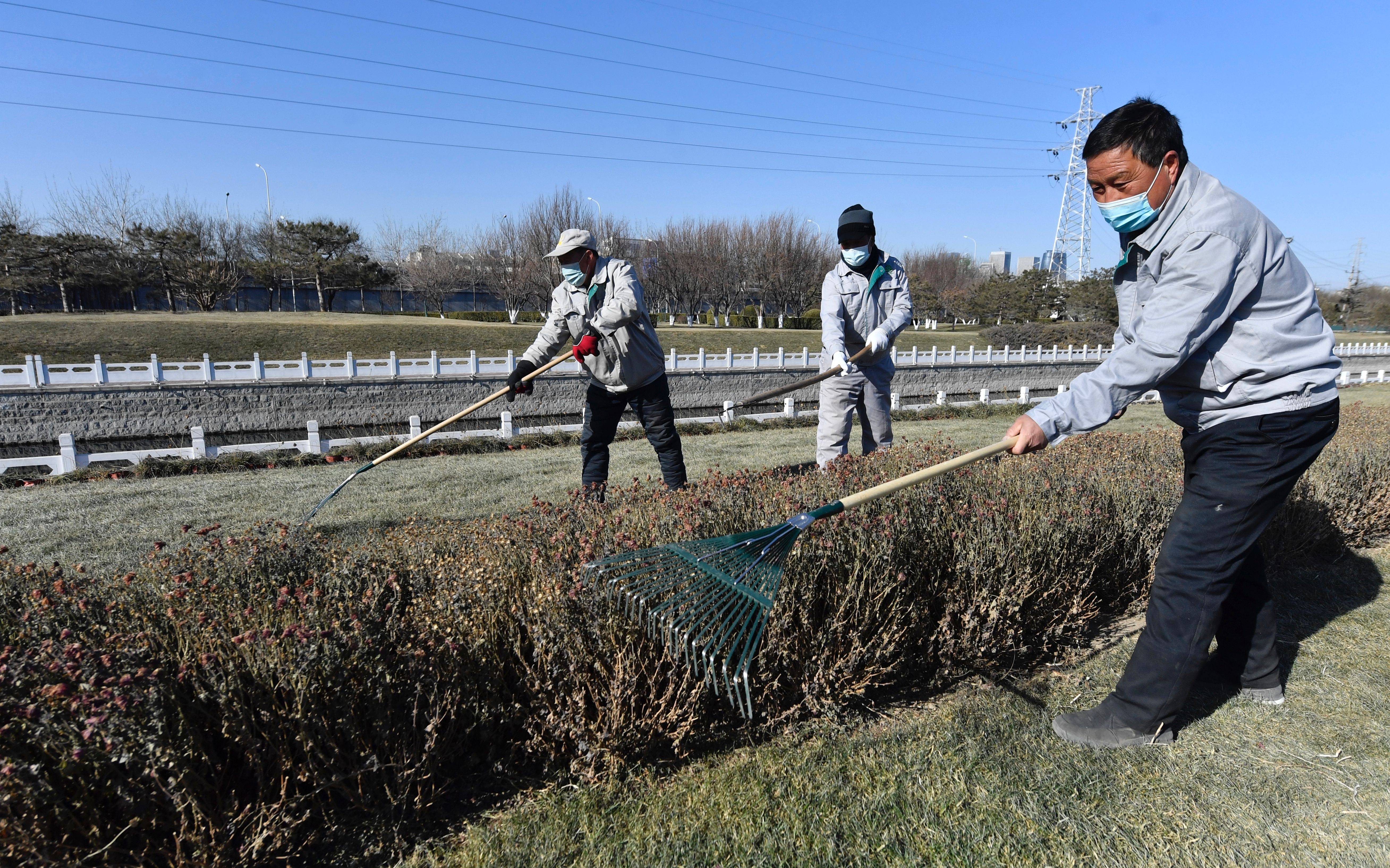 北京不同区域野草将分类管护 为首都冬季添绿
