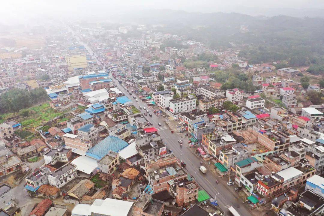 【走遍兴宾】石陵镇:手工红薯粉好味道,木材加工业发展猛_扶贫