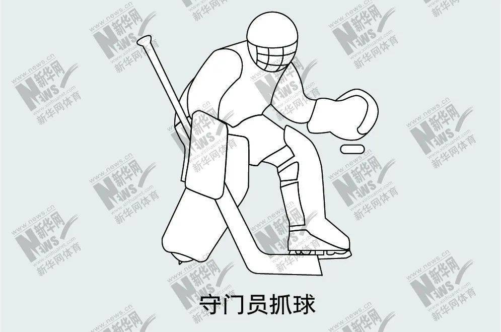 图解北京冬奥项目⑥——冰球,激烈对抗的冰上曲棍球