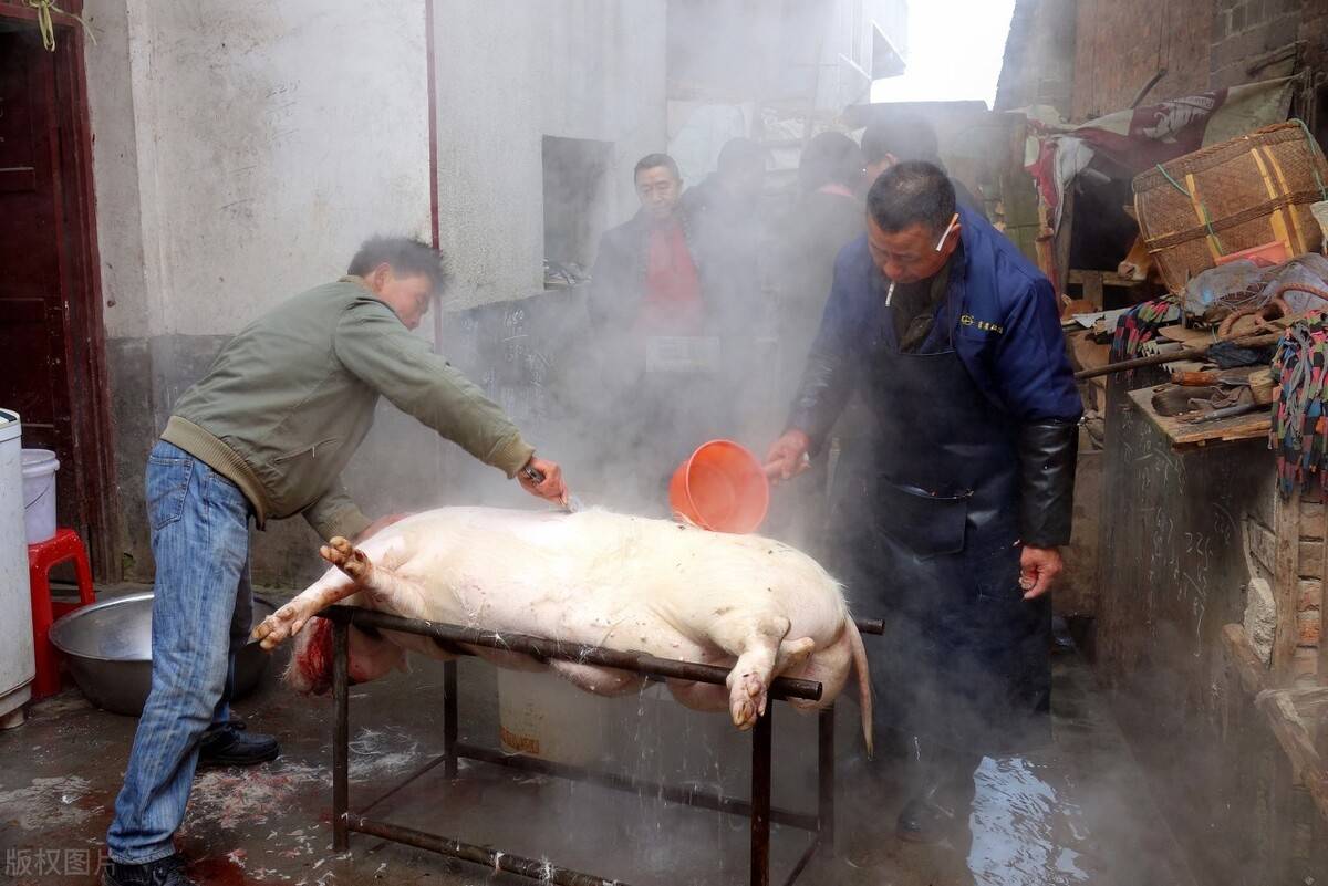 东北风情:乡下的杀猪匠