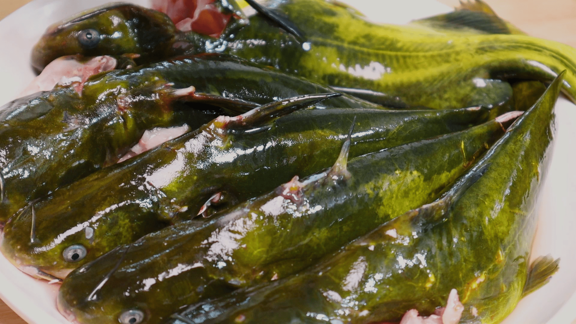 0厨艺都能学会的砂锅昂刺鱼不煎不炸又鲜又嫩还不腥