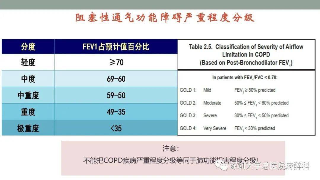 肺功能检查解读 实用_试验