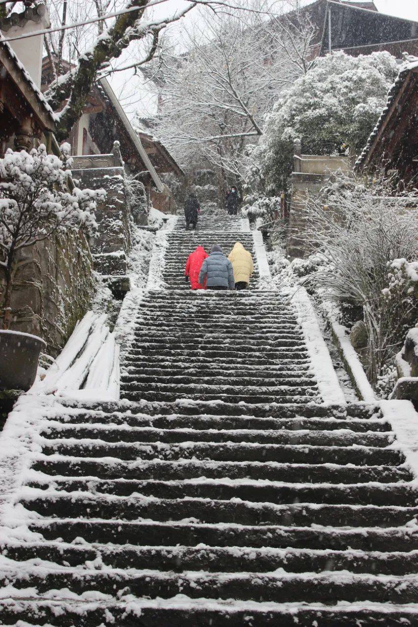 都江堰灵岩山新年第一场雪满是古风之美