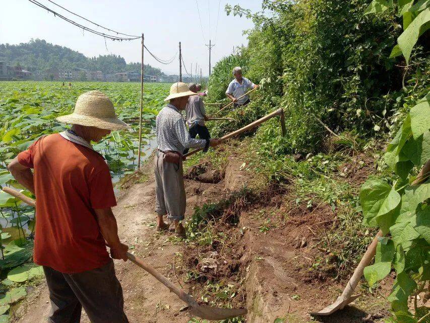 开江县狮子庙村跨界六联打造善治乡村样本