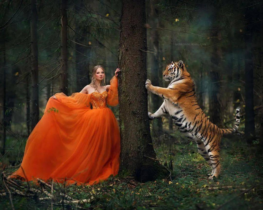 四个王国的公主们从小就无忧无虑的生活在自然中,和动物们都是好朋友