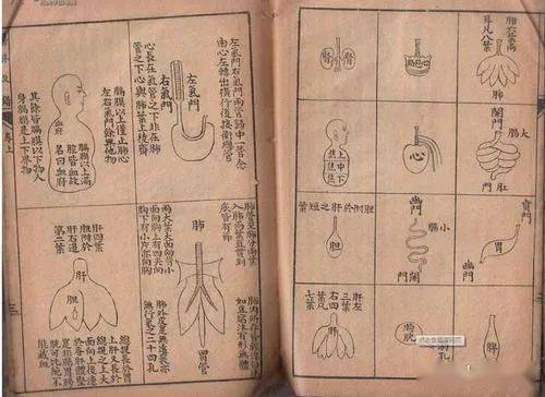 清代医学界迷尸“狂徒”王清任_解剖