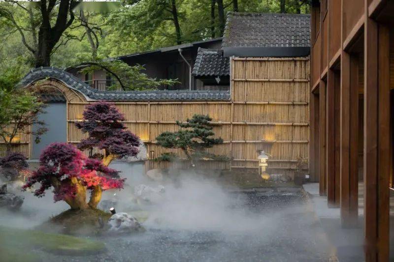 烟雨江南杭州民房庭院改造设计
