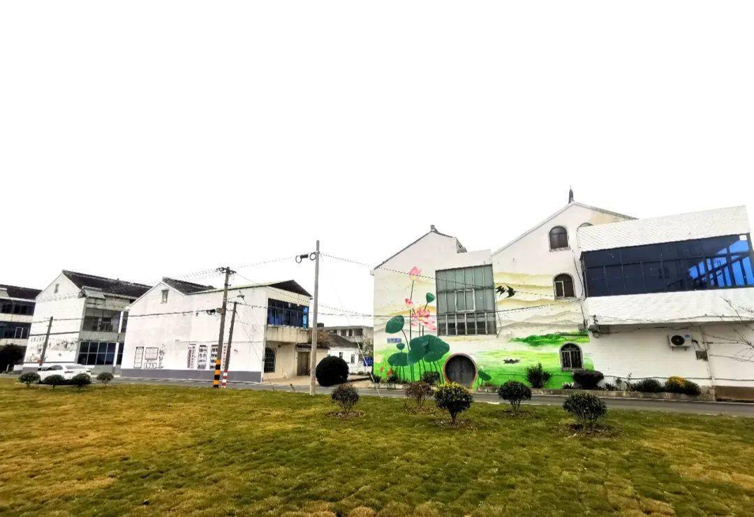 临港动态│临港这5个村被全市表扬