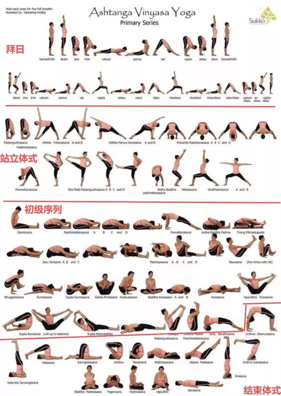 20个瑜伽高难度体式图片