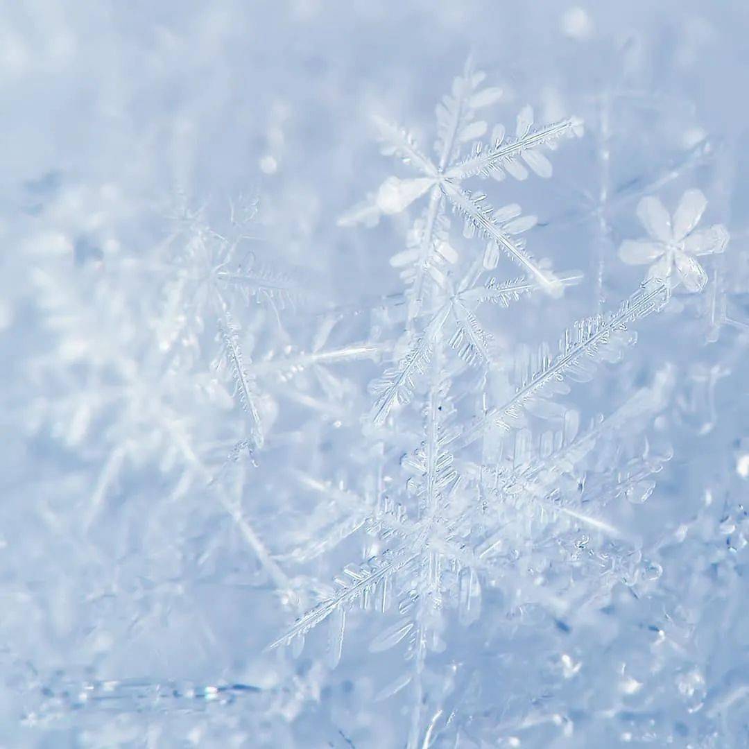 ▼霜状冻泡雪花雪花当中,形状最最罕见之一的还有12瓣雪花晶体,纯