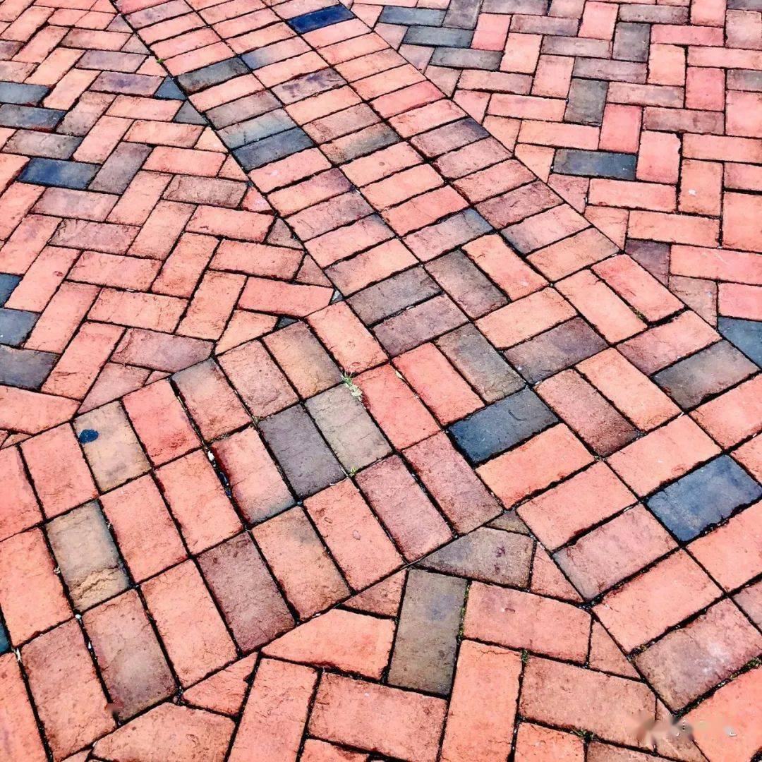 2019年10月,佩迪中学,校园里的红砖路图:老爹譬如,托福分数与ssat分数