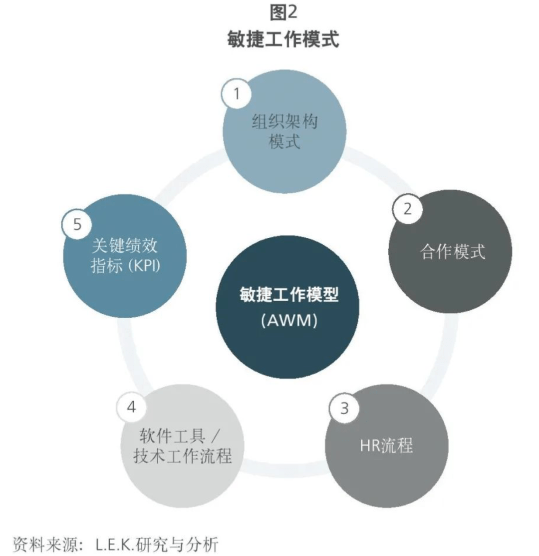 如何让敏捷转型真正落地?_组织