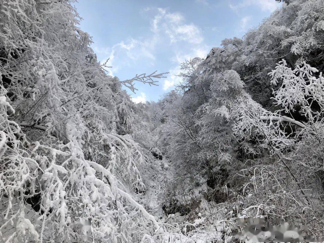 雅安海子山雪景图片