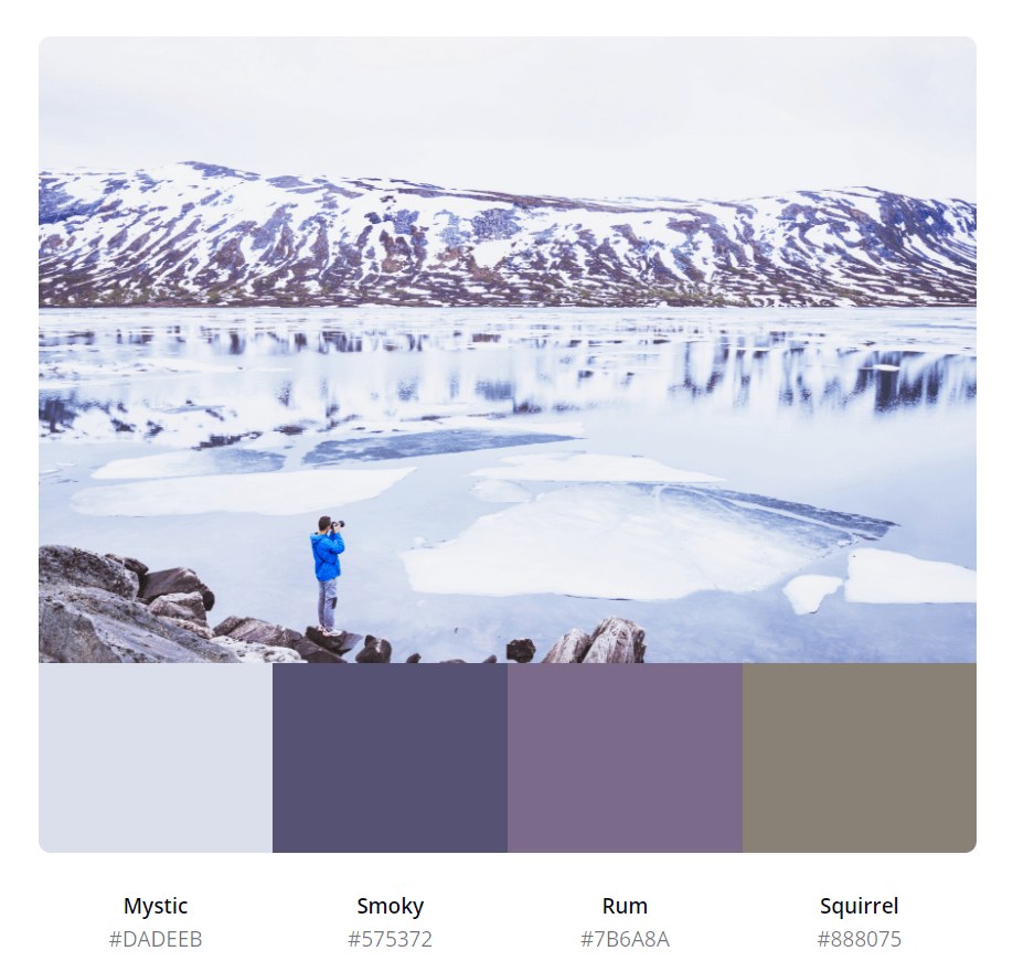 配色模板插画来diy属于你的冬季配色吧