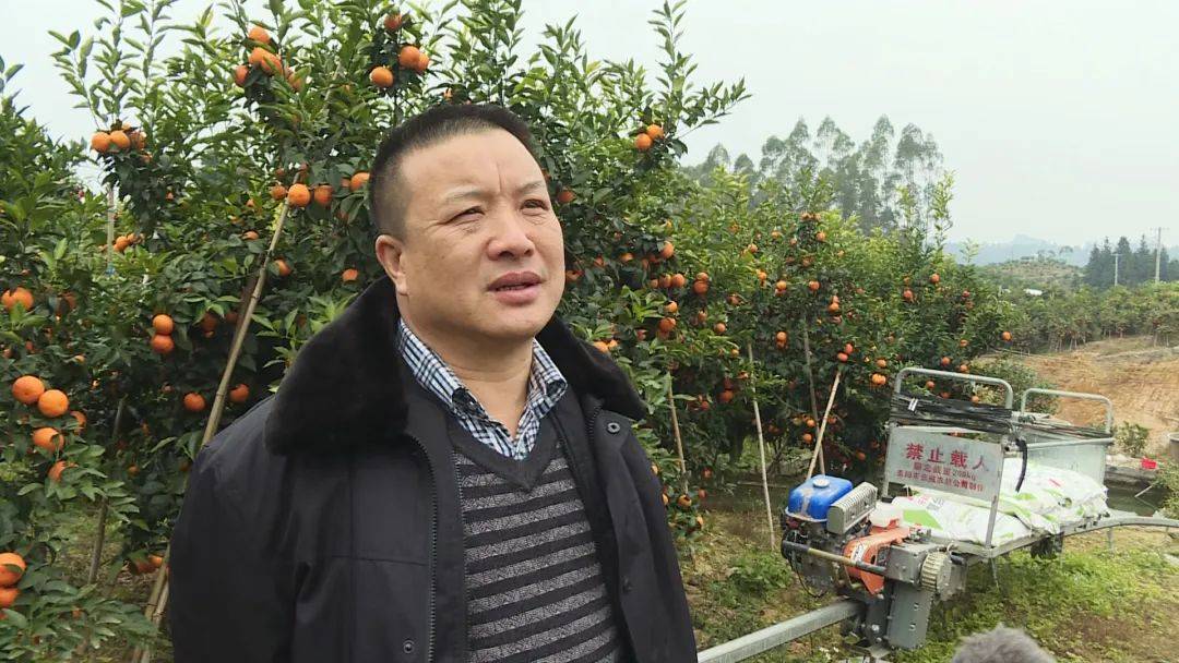 来源:罗晨敏 韦志宏