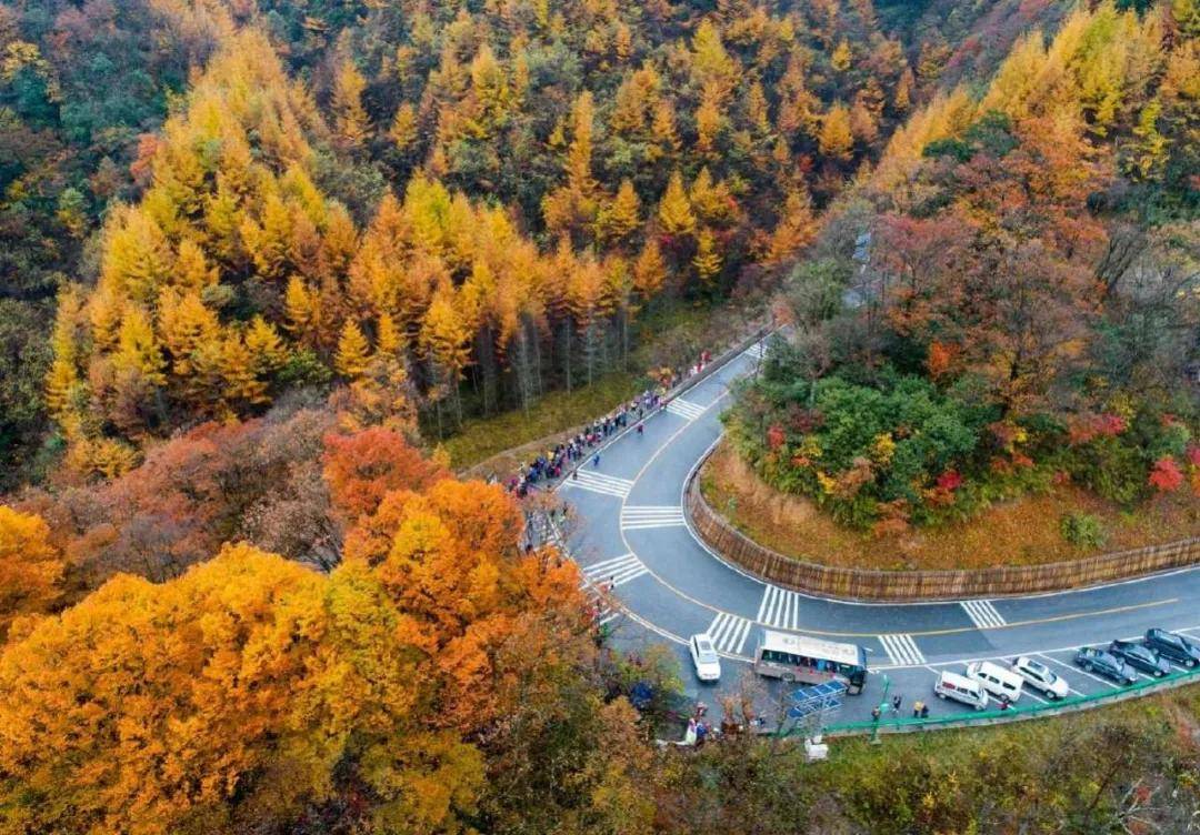 光雾山铁炉坝大坝公路正在冲刺2020年度十大最美农村路