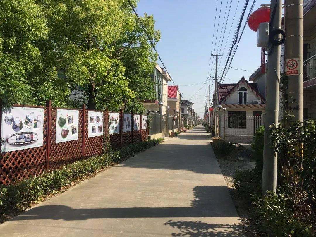 棒崇明这7个村获评2020年度上海市美丽乡村示范村