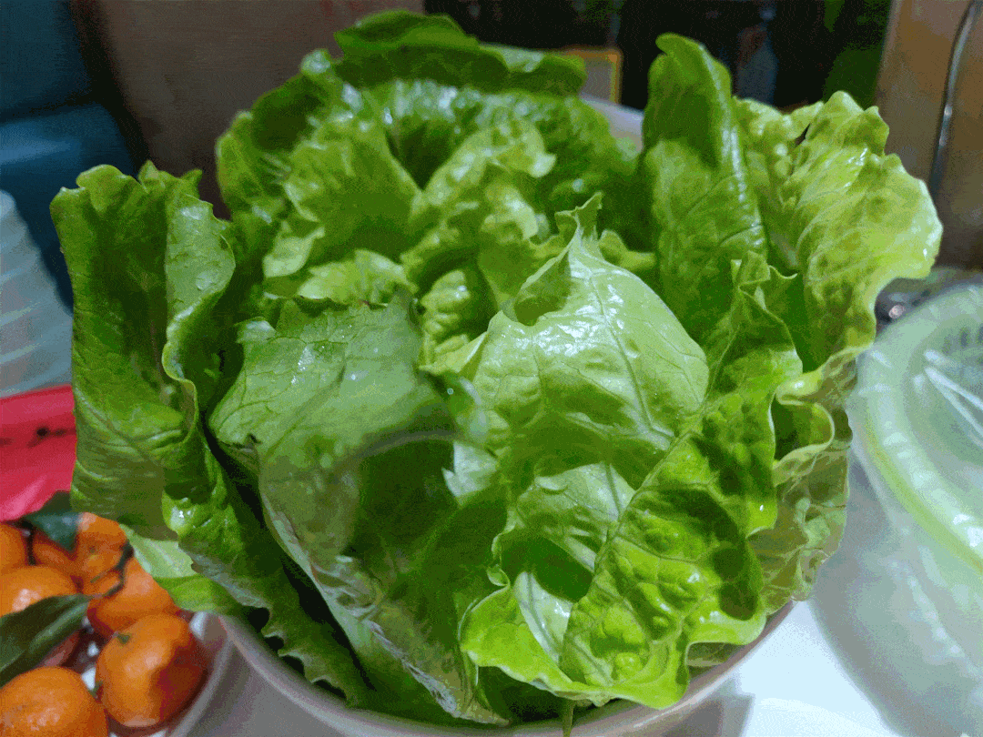 1080_810gif 动态图 动图