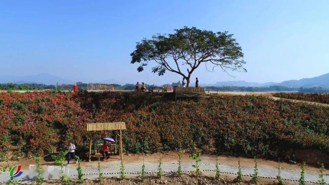 盘活沉睡土地激发乡村活力