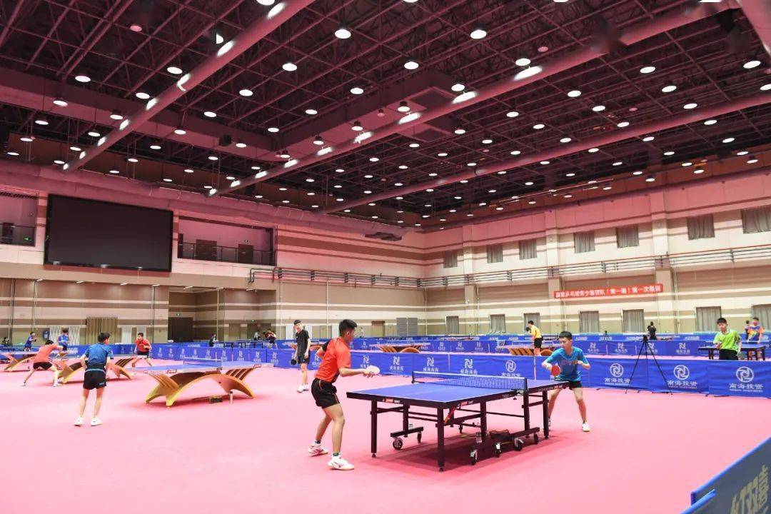南山文体中心乒乓球馆图片