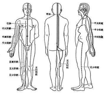 睡百歲中醫經絡的終極秘密