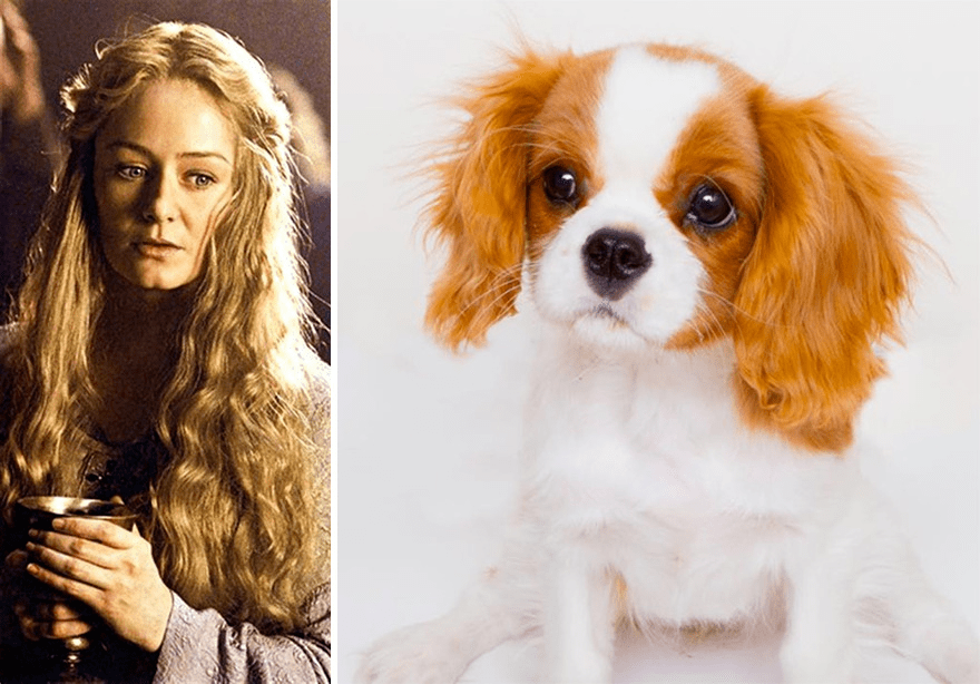 伊欧玟太坏了,不能被描绘成一只可爱/悲伤的小狗.