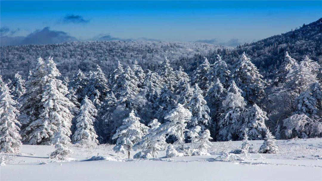 去看这个时节降雪量最大的鹅毛大雪,被雪覆盖的银色世界,去雪上体验