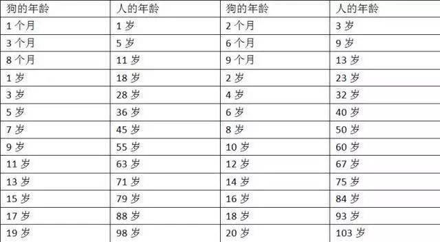 狗狗与人年龄换算表终于知道狗狗多大了