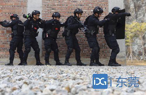 胡剑波是东莞特警支队四大队四级警长,今天是他值班,一大早就赶回特警