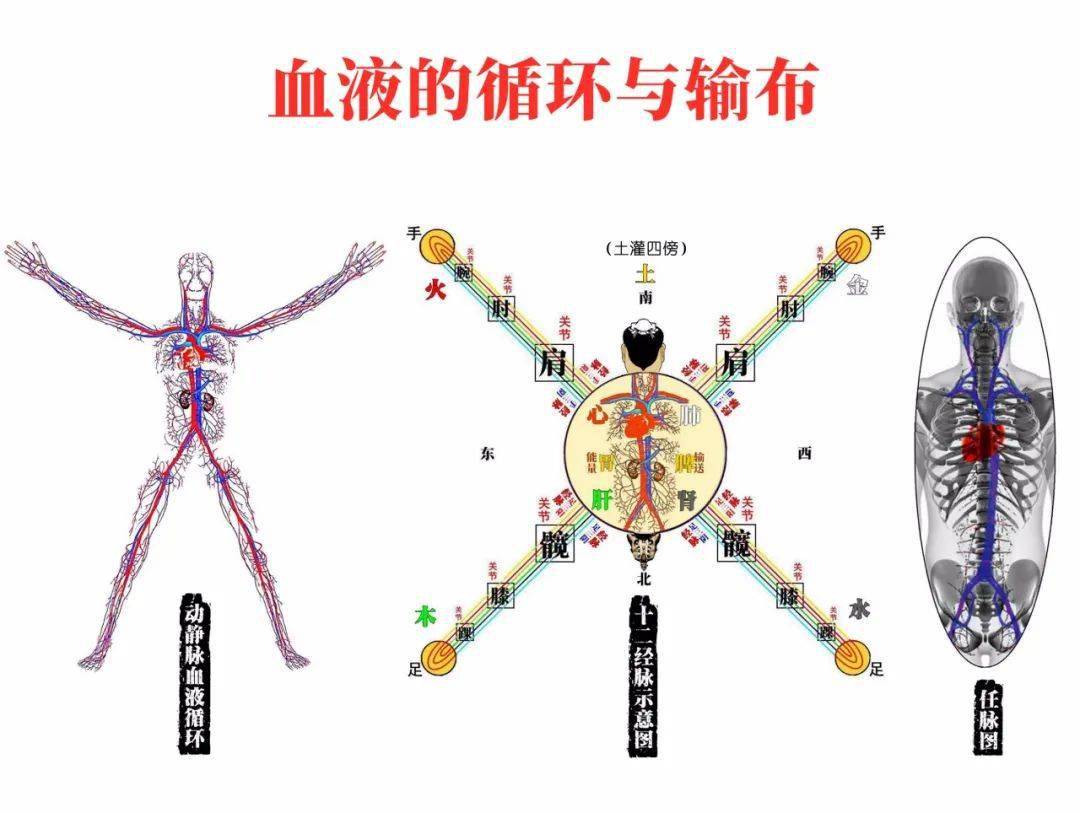 针所不为灸之所宜1