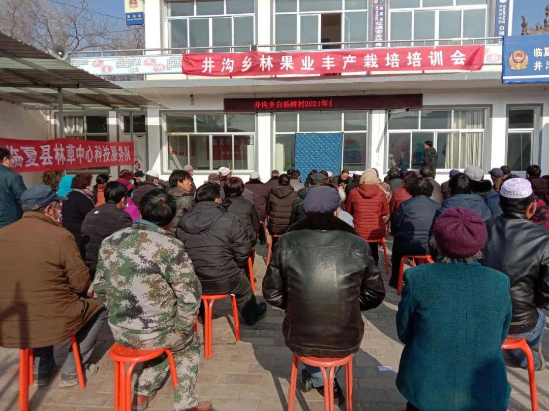 【干部大培训 群众大教育】临夏县井沟乡:加大实用技术培训 助推产业