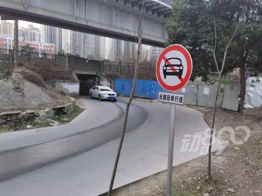 市区新增一条单行道已有30人逆行被罚