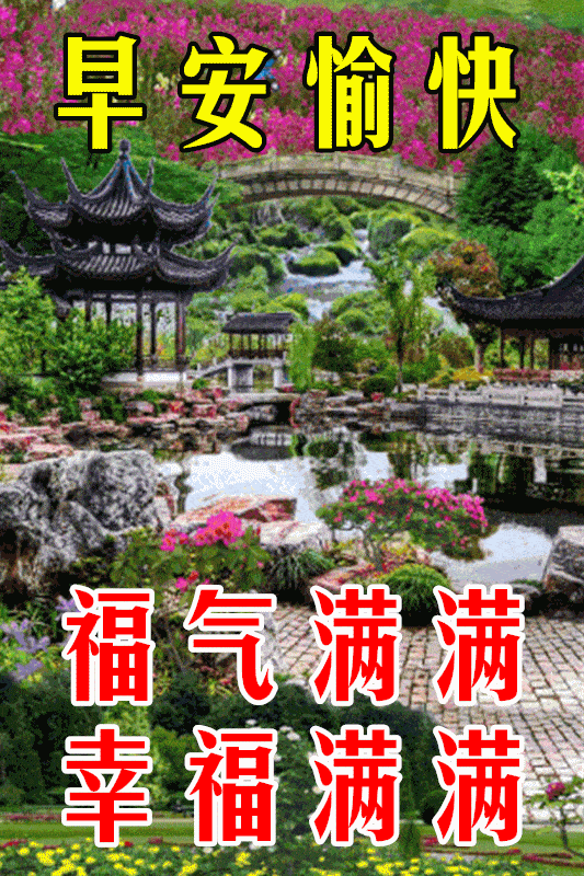 533_800竖版 竖屏gif 动态图 动图