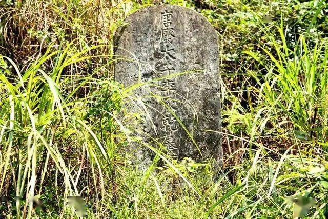 太子李承乾墓在上世纪30年代,贺龙同志率领红军进驻彭水境内.