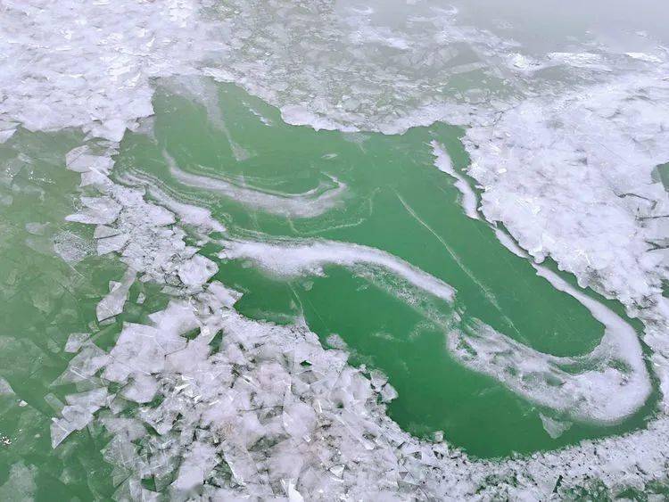 黄河三门峡段大面积结冰美的不像话